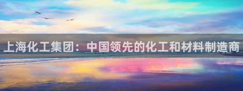 球盟会官方app首页入口：上海化工集团：中国领先的化工和材料