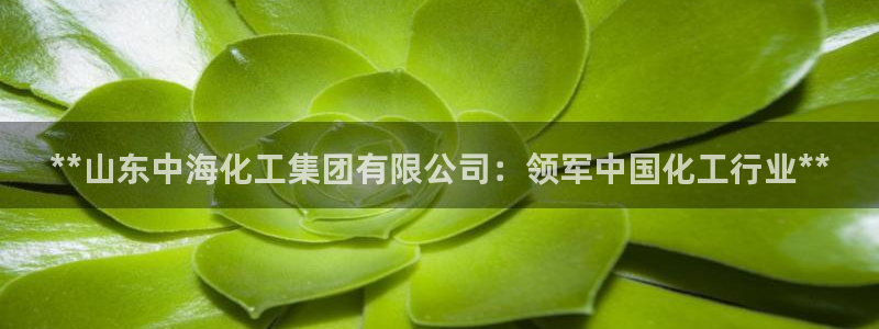球盟会黑网：**山东中海化工集团有限公司：领军中国化工行业*