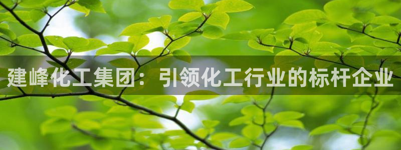球盟会登陆入口