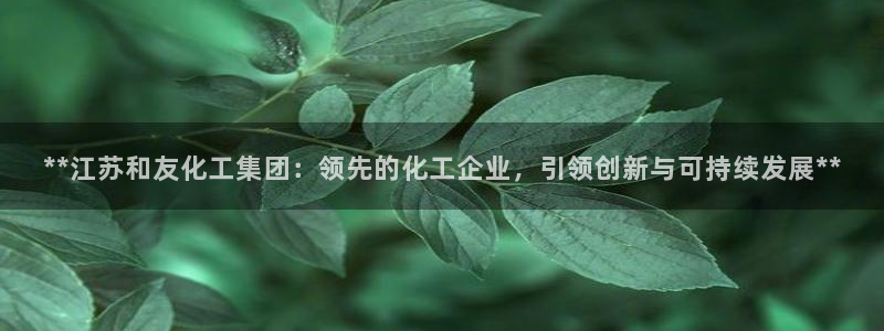 球盟会app手机登录：**江苏和友化工集团：领先的化工企业，