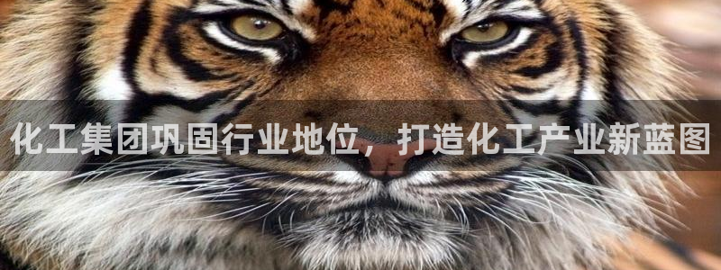 球盟会福利码2023最简单三个步骤