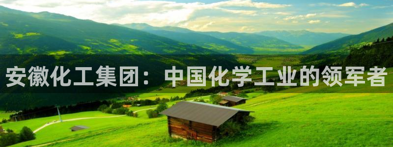 球盟会和中欧会的区别：安徽化工集团：中国化学工业的领军者