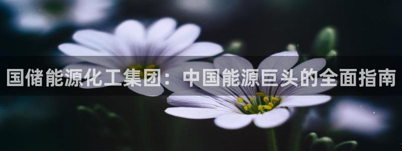 球盟会qm9：国储能源化工集团：中国能源巨头的全面指南
