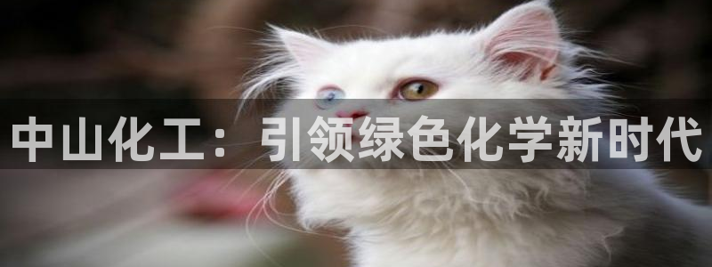 球盟会qm8597