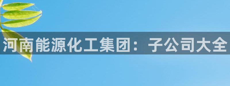 球盟会网页登录app下载地址