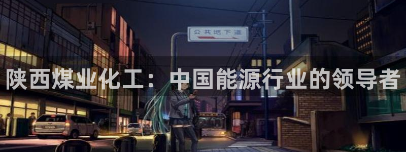 球盟会有没有黑单的球员：陕西煤业化工：中国能源行业的领导者