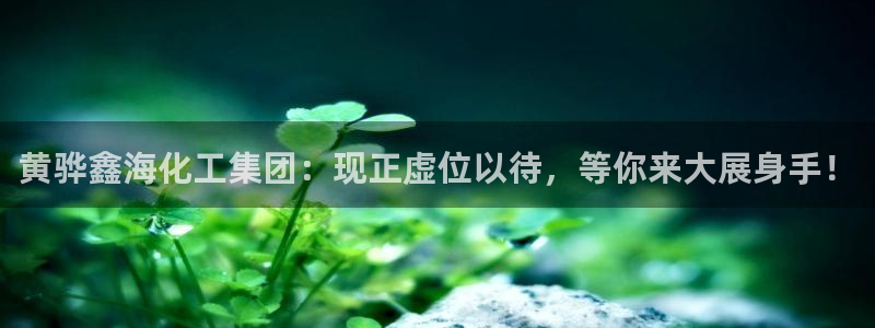 球盟会用的客服聊天是哪个软件