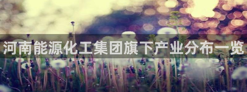 球盟会登录入口