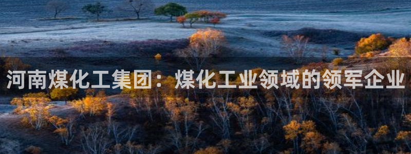 球盟会黑钱：河南煤化工集团：煤化工业领域的领军企业