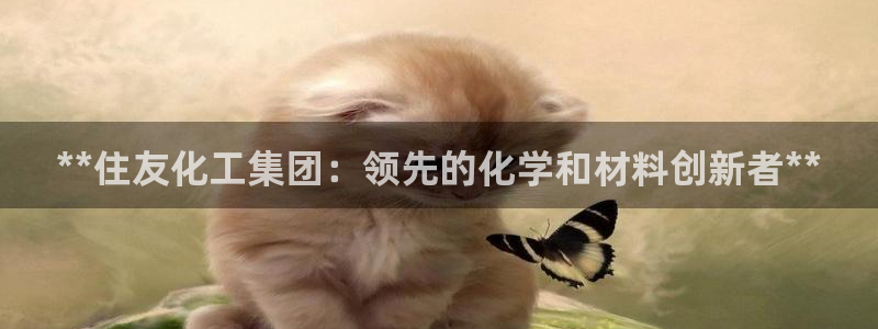 球盟会头号玩家是谁：**住友化工集团：领先的化学和材料创新者