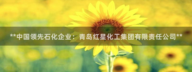 球盟会登录网址