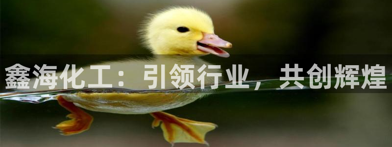 球盟会黑款吗是真的吗：鑫海化工：引领行业，共创辉煌