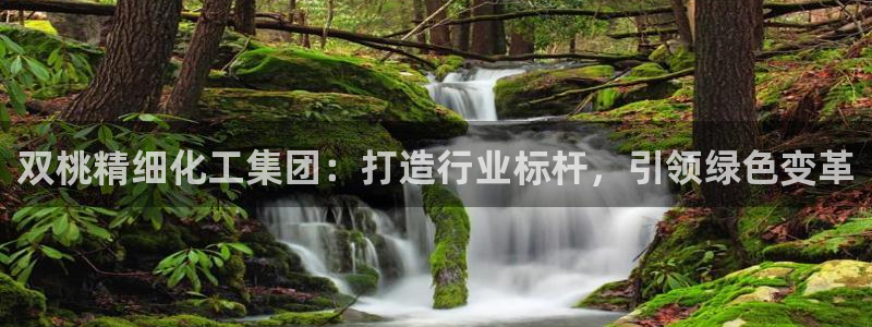 球盟会黑款吗还是白款