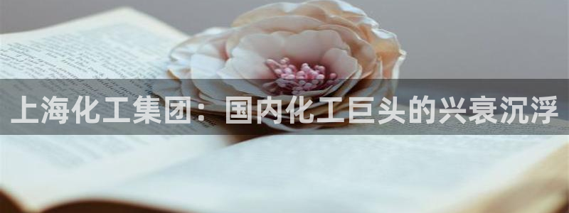 球盟会平台会黑单吗
