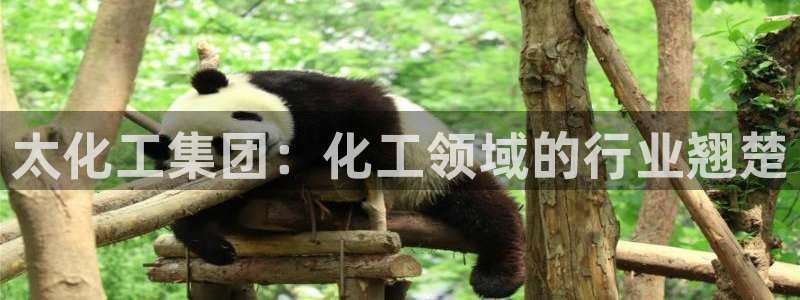 球盟会贴吧
