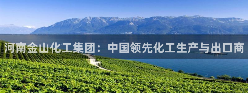 球盟会网页登录app下载地址：河南金山化工集团：中国领先化工