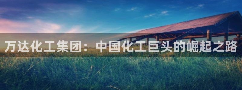 球盟会登录网址
