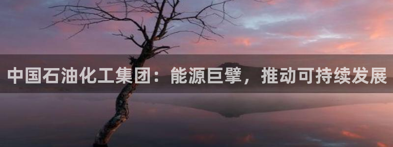 球盟会登录平台