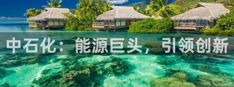 球盟会体验金：中石化：能源巨头，引领创新