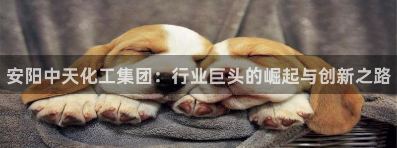 球盟会官网入口