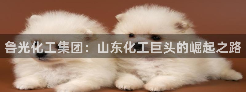 球盟会电子