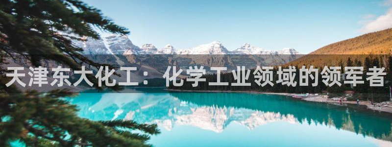 球盟会贴吧