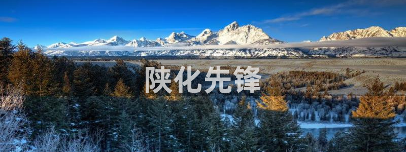 球盟会网页登录app下载地址：陕化先锋