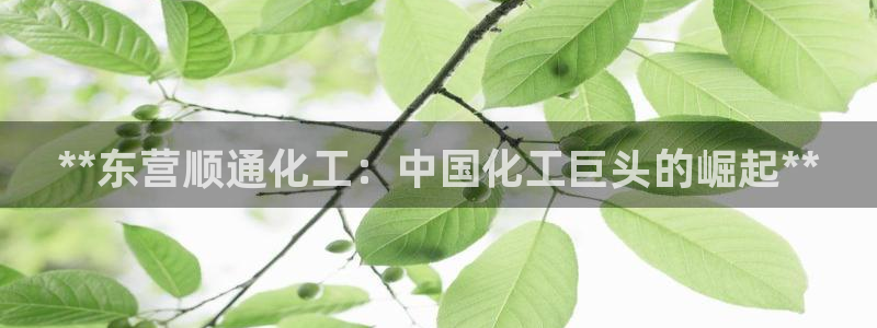 球盟会优惠领取网站是真的吗