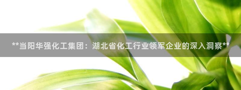 球盟会入口：**当阳华强化工集团：湖北省化工行业领军企业的深