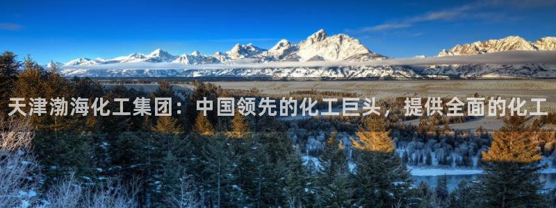 球盟会qmh登录地址：天津渤海化工集团：中国领先的化工巨头，