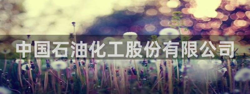 球盟会APP最新地址：中国石油化工股份有限公司