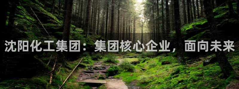 球盟会在线登入：沈阳化工集团：集团核心企业，面向未来