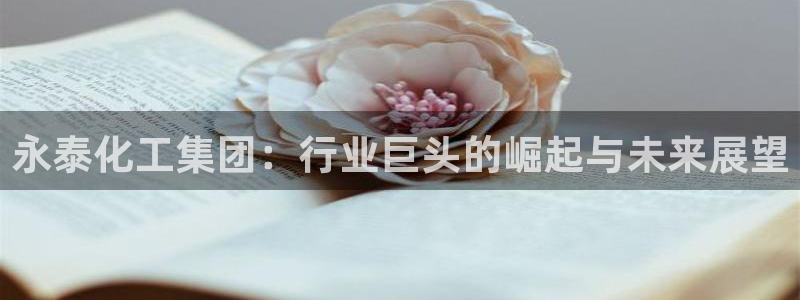 球盟会有限公司怎么样