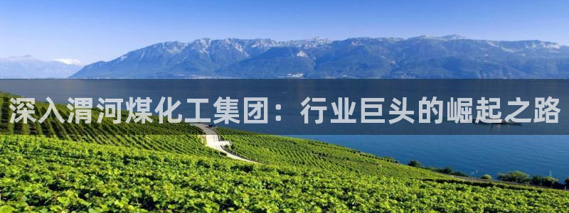 球盟会可以提现么现在