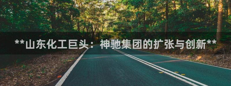 球盟会APP最新地址：**山东化工巨头：神驰集团的扩张与创新