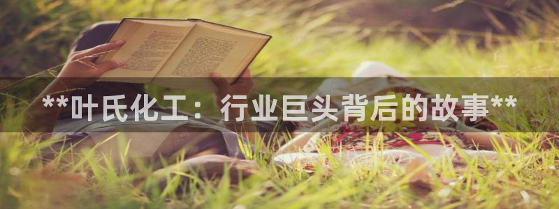 球盟会