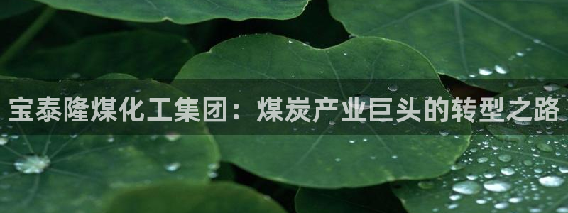 球盟会手机网页版