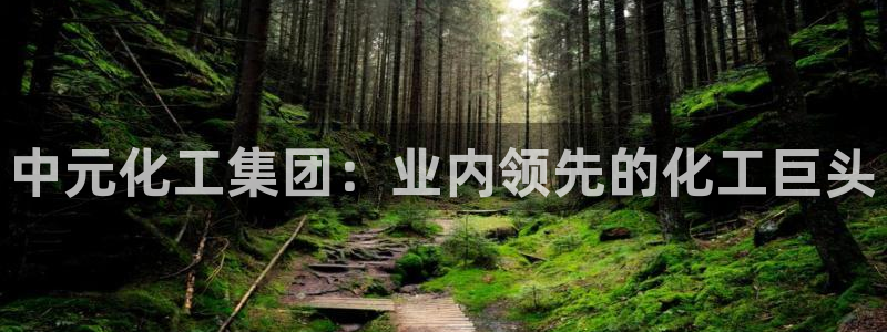 球盟会在线网站