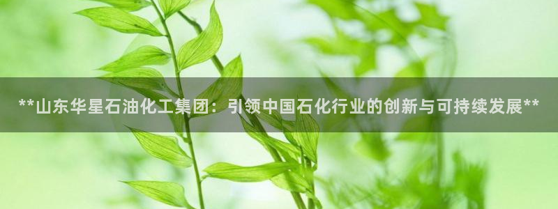 球盟会网页版登陆：**山东华星石油化工集团：引领中国石化行业