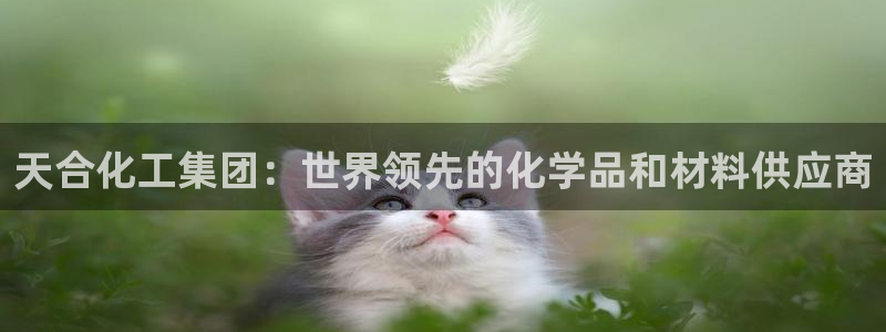 球盟会头号玩家是谁