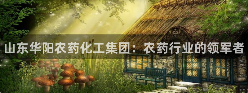 球盟会官网app下载