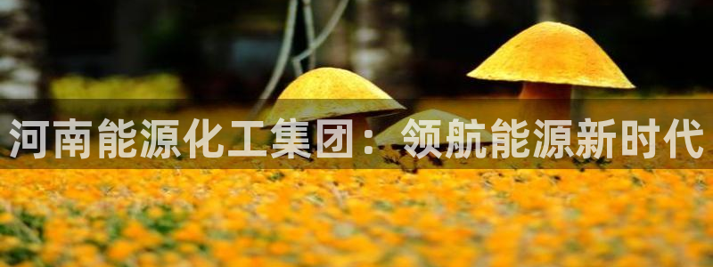 球盟会登录平台入口
