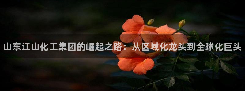 球盟会入口