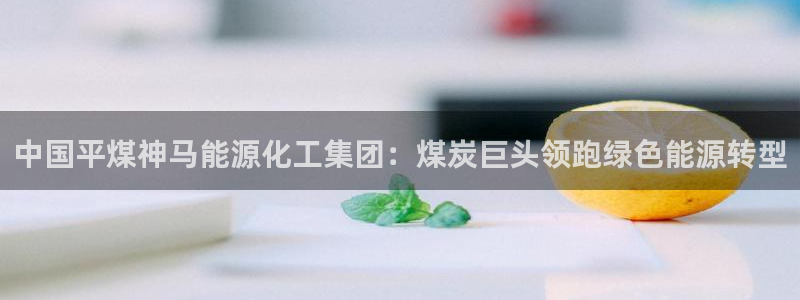 球盟会头号玩家是谁：中国平煤神马能源化工集团：煤炭巨头领跑绿