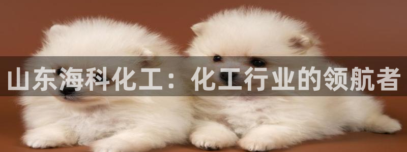 球盟会(中国)官方网站
