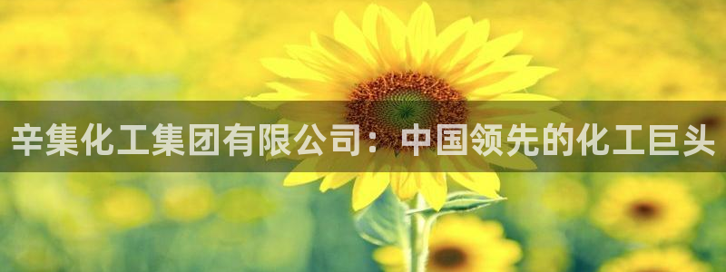 球盟会福利码2023最简单三个步骤：辛集化工集团有限公司：中