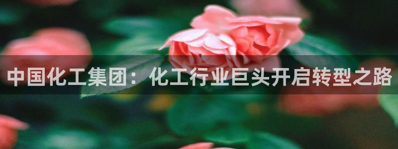 球盟会黑款吗知乎小说