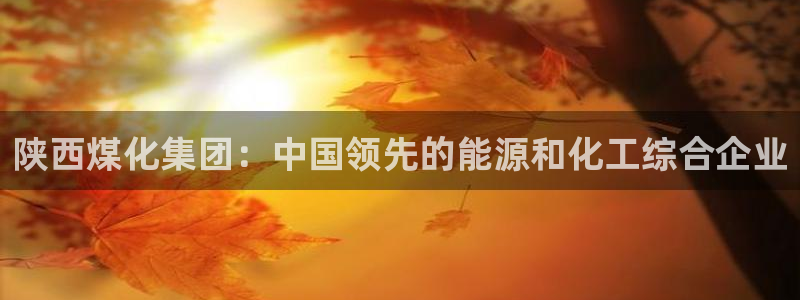 球盟会电子好下吗：陕西煤化集团：中国领先的能源和化工综合企业