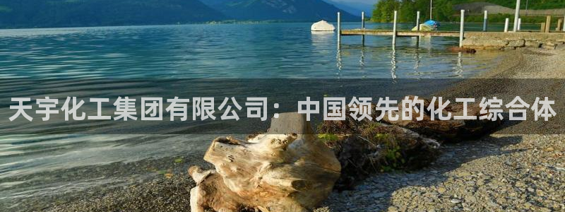球盟会官方网页登录：天宇化工集团有限公司：中国领先的化工综合