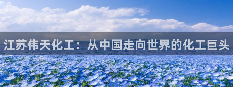 球盟会app